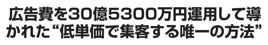広告費を30億5300万円運用して導かれた低単価で集客する唯一の方法